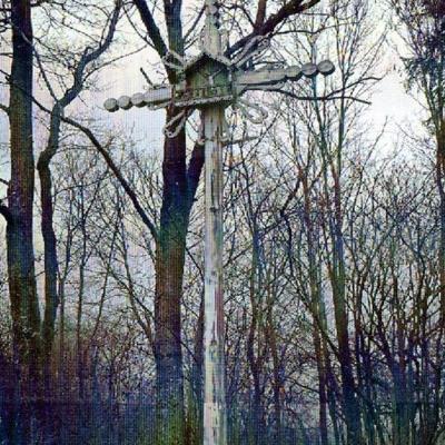 Kryzius Stumbriskes Kaimo Kapinese 2008