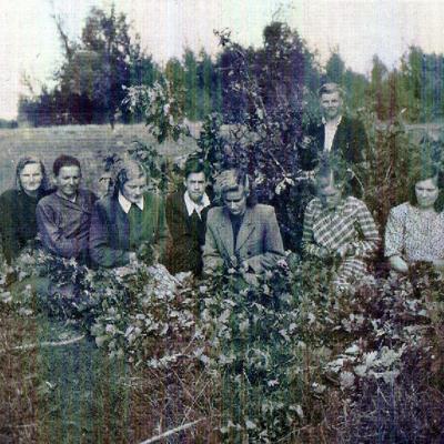 Pina Baznyciai Vainikus Apie 1954 M